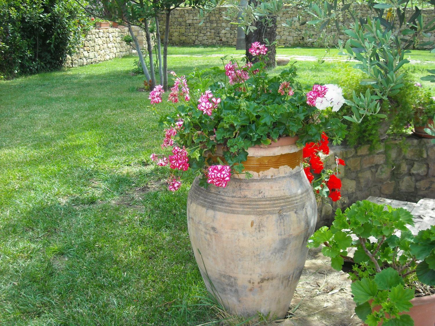 Agriturismo Villa Luca سانتاغاتو دي ميليتي المظهر الخارجي الصورة