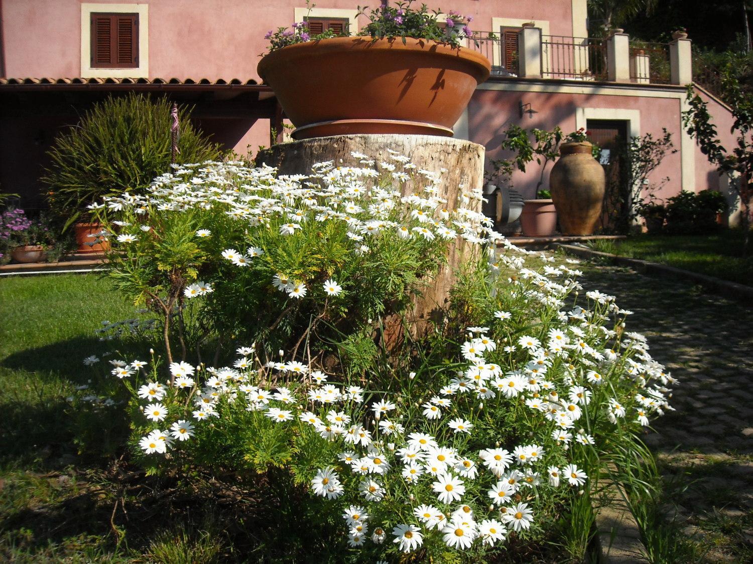 Agriturismo Villa Luca سانتاغاتو دي ميليتي المظهر الخارجي الصورة